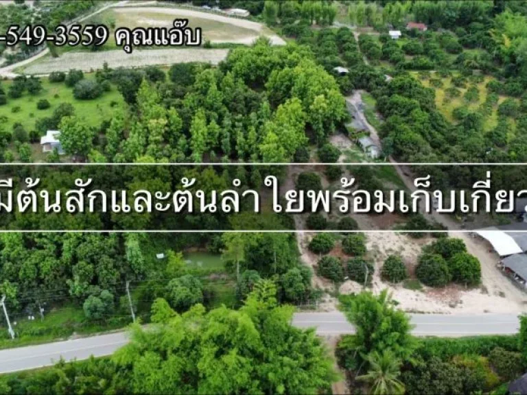 ขายที่ดินสวนเกษตร เนื้อที่ 4-0-243 ไร่ ตดอนเปา อแม่วาง