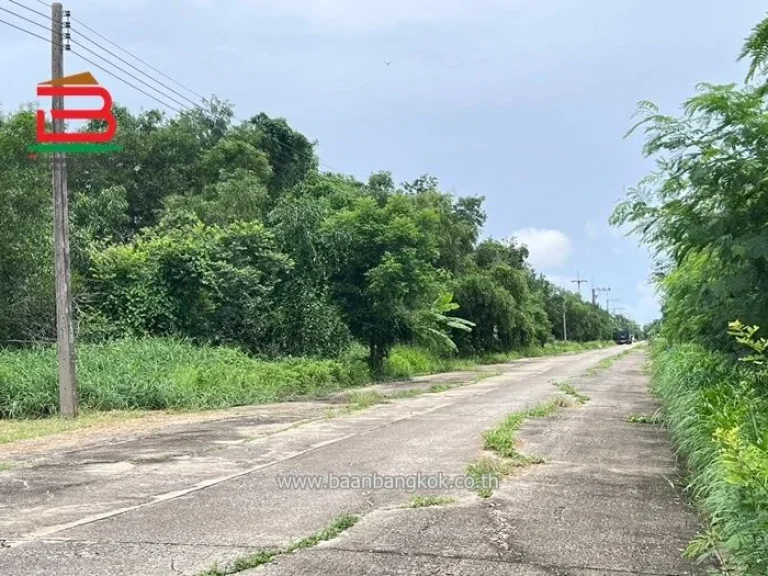 ที่ดินเปล่า เกษตรนนทรี 2 ติดถนนเลียบคลอง 6 ลำลูกกา เนื้อที่