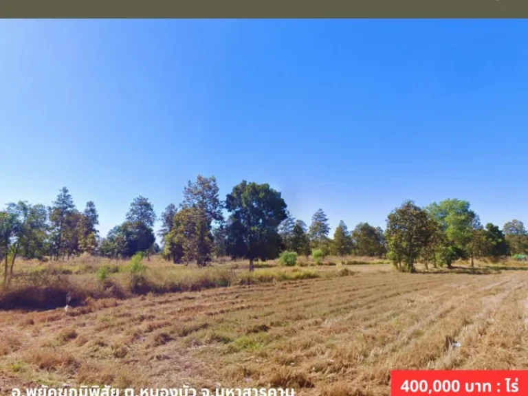 ขายที่ดินเขตชุมชน บโคกล่าม อพยัคฆภูมิพิสัย ตหนองบัว