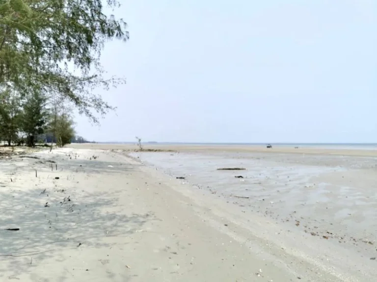 ด่วน ขาย ที่ดินติดทะเล ระยอง 4 ไร่ หาดส่วนตัว หาดสวย ทำเลดี