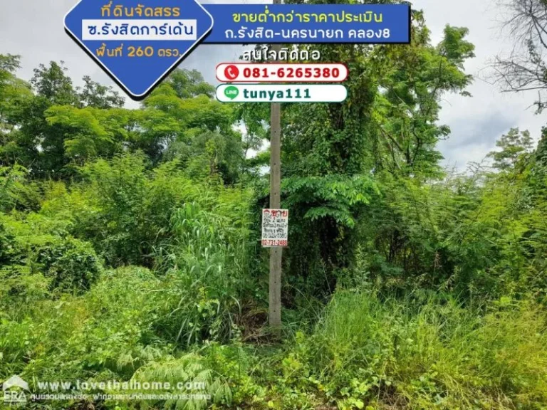 ขายที่ดินจัดสรร ถนนรังสิต-นครนายก คลอง8 ซอยรังสิตการ์เด้น