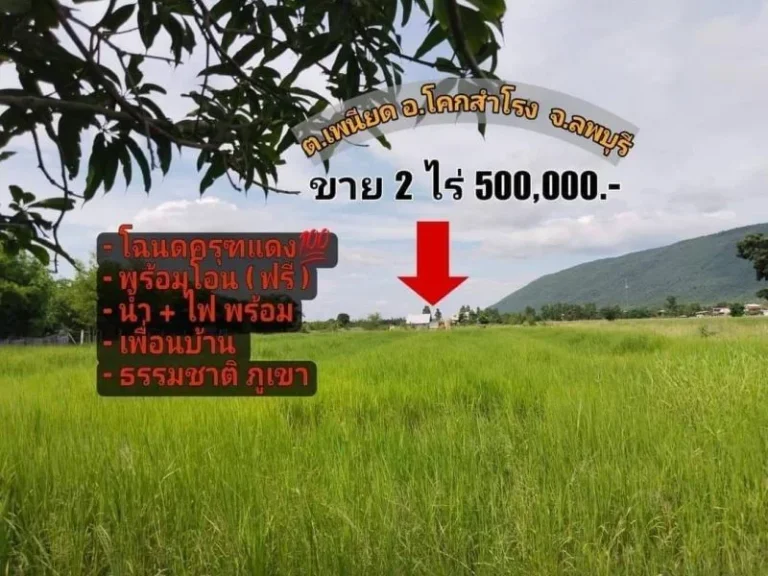 ขายที่ดินวิวเขา ตะเภาทอง ยกแปลง 2 ไร่ ครุฑแดง โคกสำโรง ลพบุรี