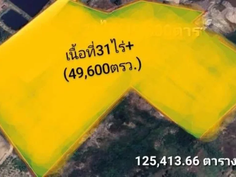 ประกาศขายที่ดินจังหวัดระยอง พื้นที่ 31 ไร่ ใกล้หาดแม่รำพึง