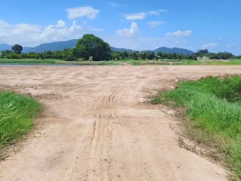 ประกาศขายที่ดินจังหวัดระยอง พื้นที่ 31 ไร่ ใกล้หาดแม่รำพึง