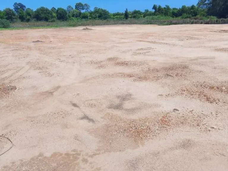 ประกาศขายที่ดินจังหวัดระยอง พื้นที่ 31 ไร่ ใกล้หาดแม่รำพึง