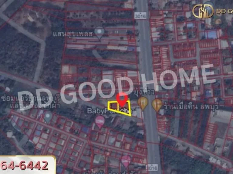 ที่ดิน ป่าตาล 230 ตรว ลพบุรี ใกล้มหาวิทยาลัยราชภัฏเทพสตรี