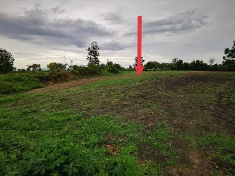 ขายที่ดินทำเลทอง ติดถนนลาดยาง อบ้านหมี่ จลพบุรี