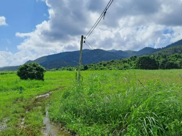 ขายสวนลำไยวิวสวยภูเขาล้อมรอบ ไฟฟ้าน้ำบาดาลพร้อม บ้านห้วยไฟ