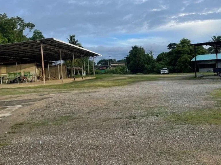 ขายที่ดิน 6 ไร่ ตำบลมะขามหลวง อำเภอสันปาตอง จังหวัดเชียงใหม่