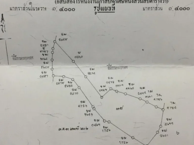 ขายที่ดินพร้อมสวนยางพารา 22 ไร่ 1 งาน 95110 ตารางวา