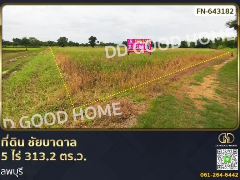 ที่ดิน ชัยบาดาล 5 ไร่ 3132 ตรว ลพบุรี