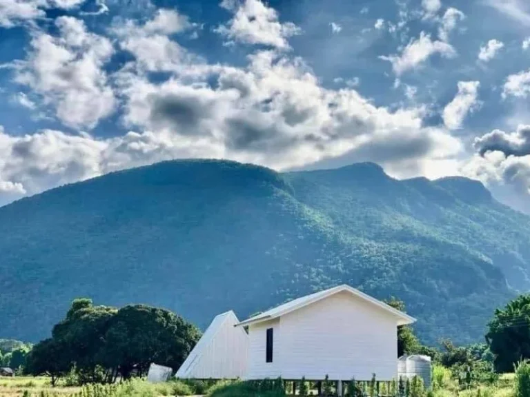 ขายที่ดินพร้อมบ้านพักกิจการรีสอร์ทวิวดอยหลวง และดอยนาง