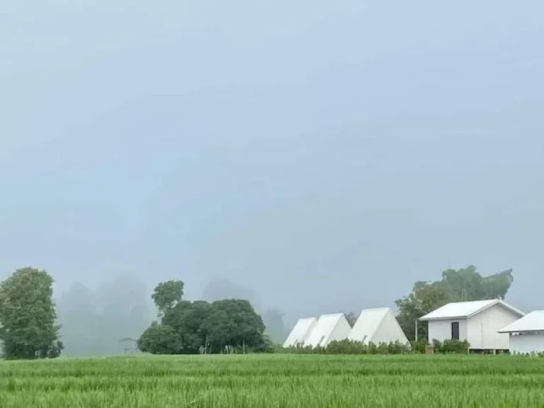 ขายที่ดินพร้อมบ้านพักกิจการรีสอร์ทวิวดอยหลวง และดอยนาง