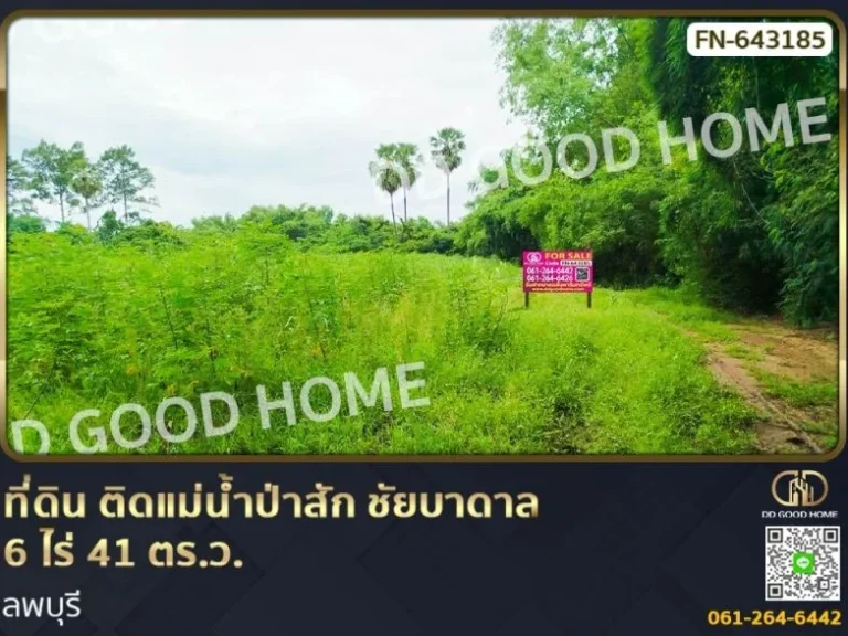 ที่ดิน ติดแม่น้ำป่าสัก ชัยบาดาล 6 ไร่ 41 ตรว ลพบุรี