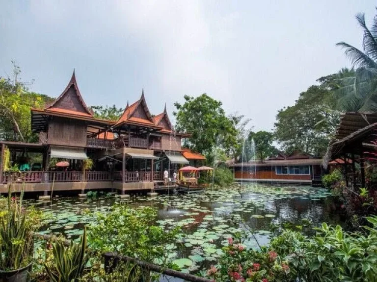 ขายที่ดินติดคลอง ติดถนนจงถนอม วัดต้นเชือก ตบ้านใหม่ บางใหญ่