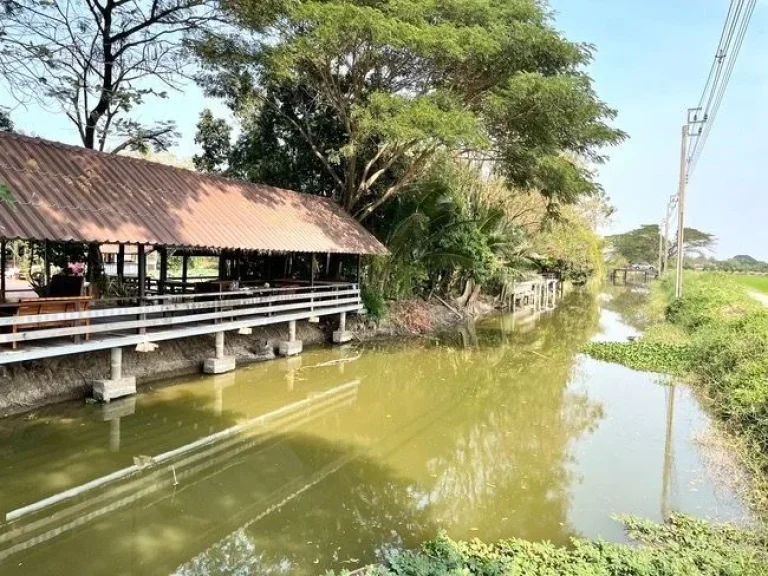 ขายที่ดินติดคลอง ติดถนนจงถนอม วัดต้นเชือก ตบ้านใหม่ บางใหญ่