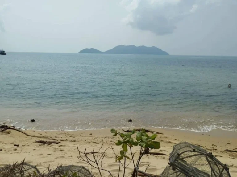 ขาย ที่ดิน ใกล้หาดมาก บนเกาะช้าง ที่ดิน บนเกาะช้าง 24 ไร่ 2