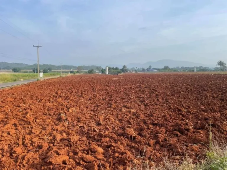 ขายที่ดินเขาใหญ่ หนองสาหร่าย เส้น2235 หนองช้างตาย วังไทร 5-10