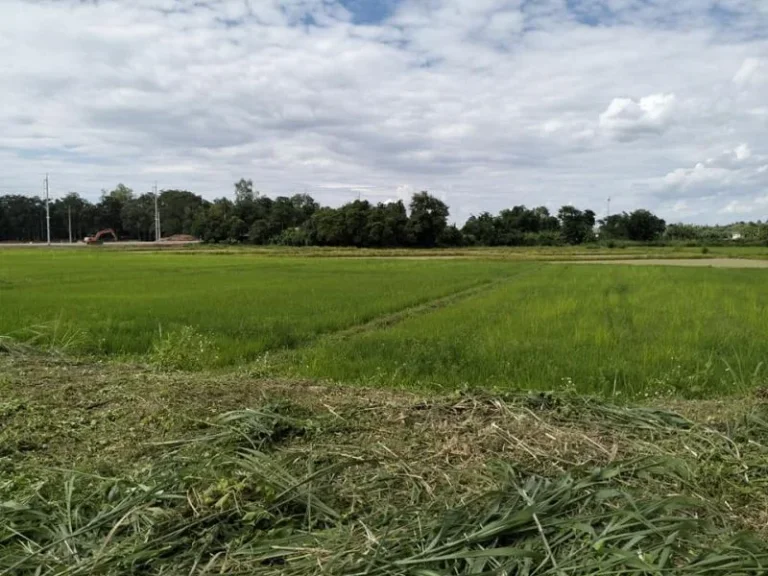 ขายด่วน ถูกมาก ที่ดินปรับถมแล้ว ในโครงการ บ้านสันมะนะ