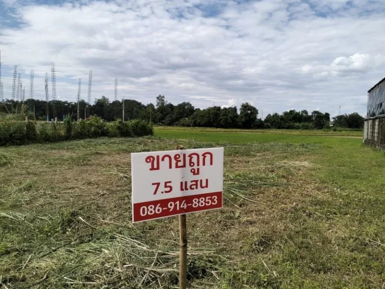 ขายด่วน ถูกมาก ที่ดินปรับถมแล้ว ในโครงการ บ้านสันมะนะ