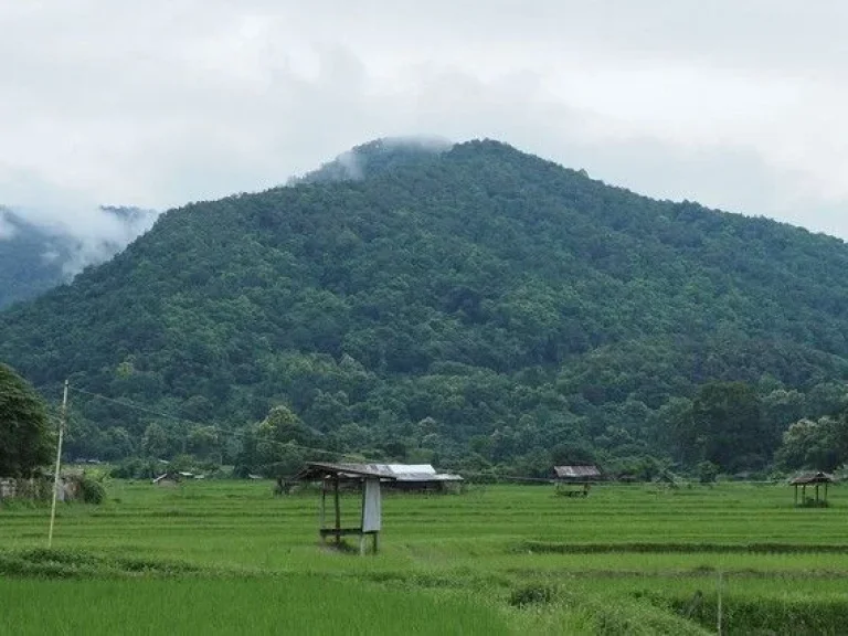 ที่ดินแปลงสวยวิวดอยภูคาใกล้แหล่งท่องเที่ยวชื่อดัง