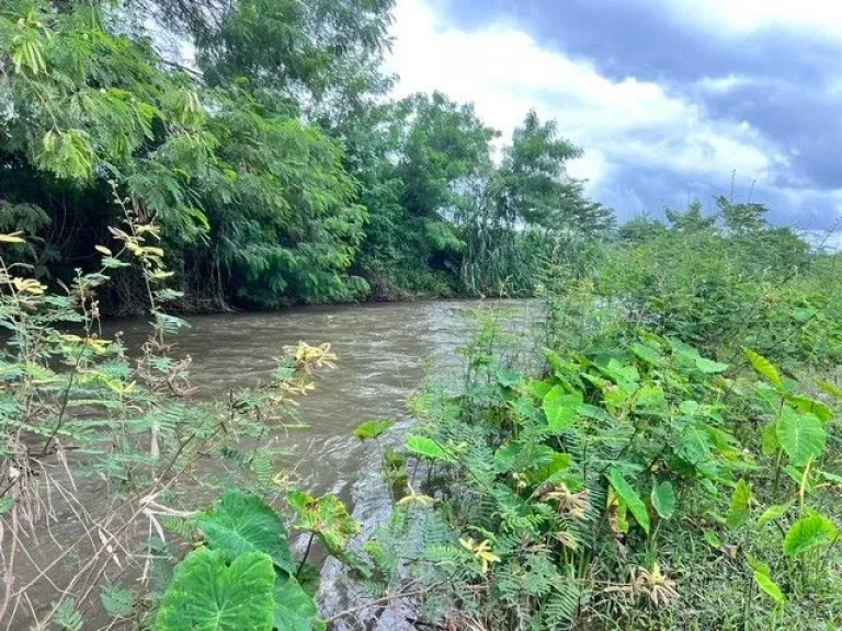 ที่ดินริมแม่น้ำวิวดอยภูคาใกล้แหล่งท่องเที่ยวอปัว