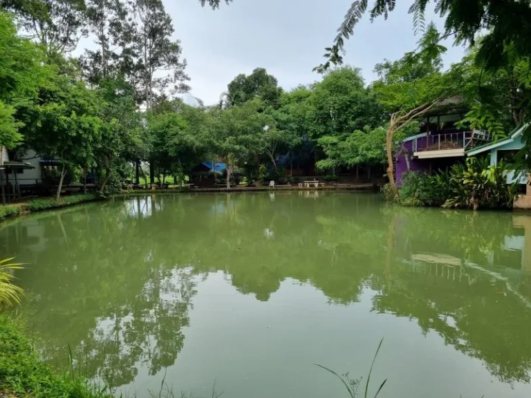 บ้านสวน ทำเลทอง ติดลำคลองธรรมชาติ ใกล้หาดบ้านอำเภอ บางเสร่