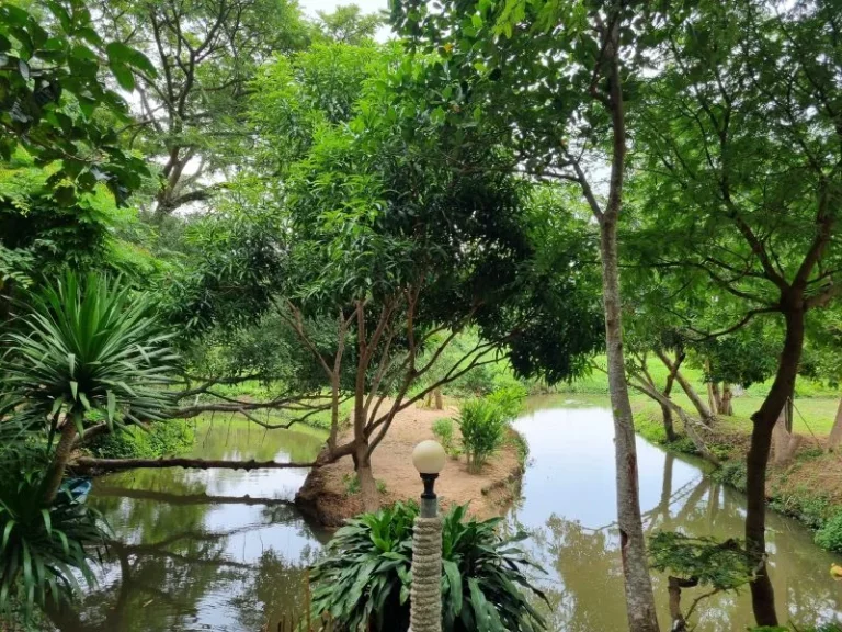 บ้านสวน ทำเลทอง ติดลำคลองธรรมชาติ ใกล้หาดบ้านอำเภอ บางเสร่