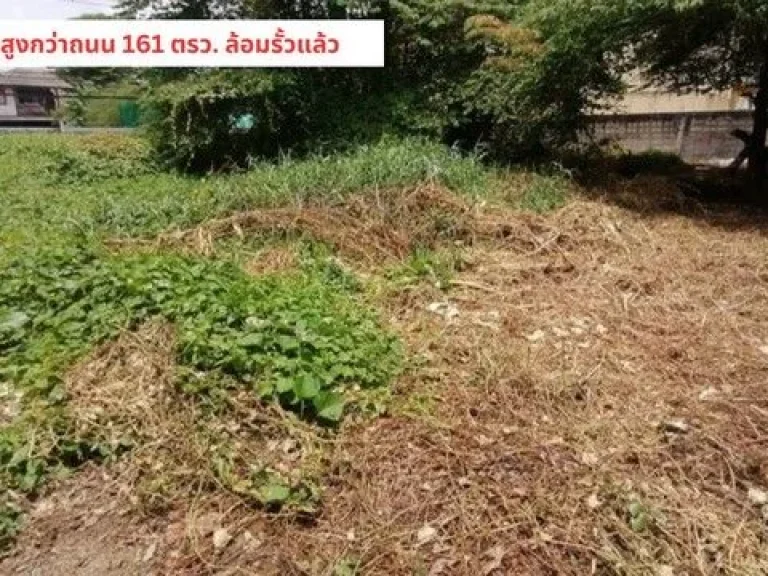 ขายที่ดินประชาชื่นงามวงค์วาน 161 ตรวเข้าซอยแค่ 130 เมตร ใกล้