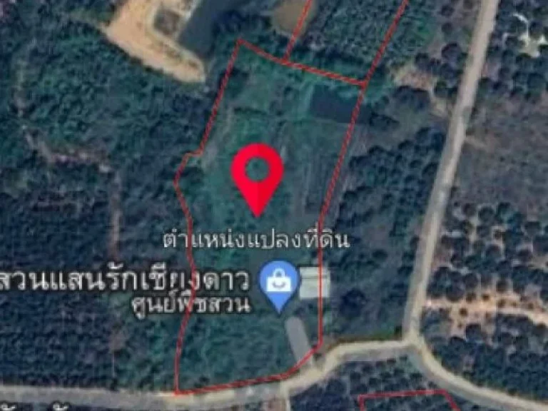 ขายที่ดินวิวดอยหลวงเชียงดาวใกล้น้ำตกโฉนดพร้อมโอน