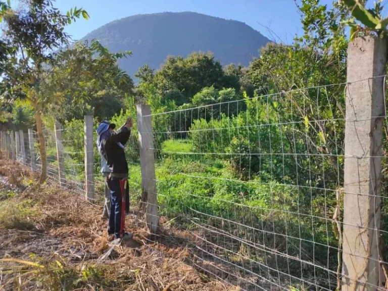 ขายที่ดินวิวดอยหลวงเชียงดาวใกล้น้ำตกโฉนดพร้อมโอน