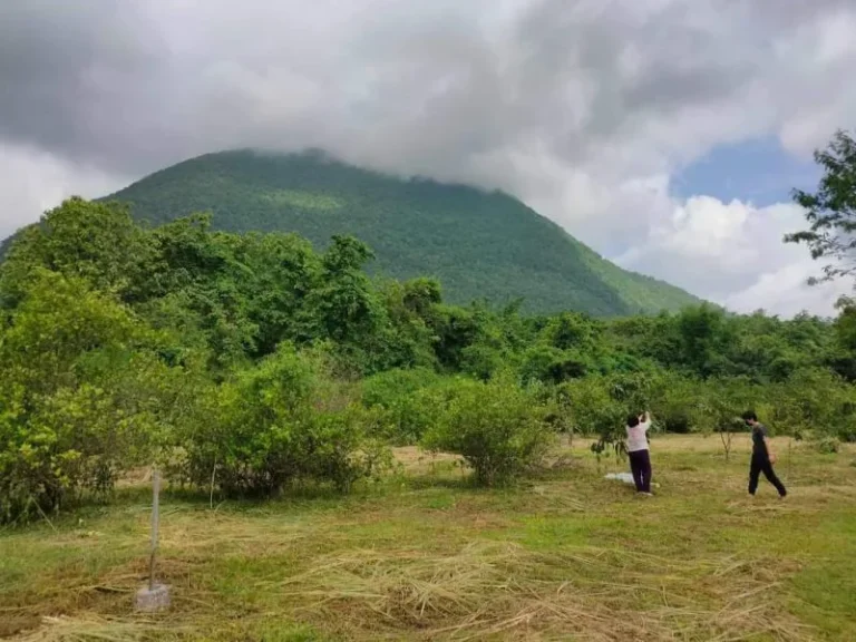 ขายที่ดินวิวดอยหลวงเชียงดาวใกล้น้ำตกโฉนดพร้อมโอน