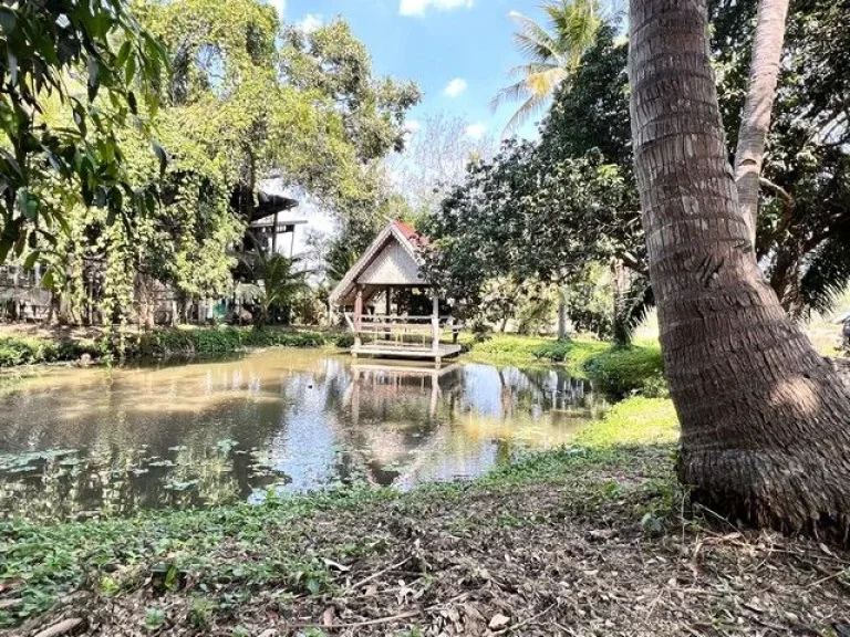 ที่ดินแปลงสวย ใกล้ใจกลางเมืองใกล้ชิดธรรมชาติ