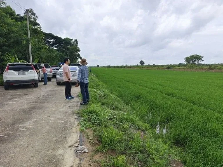 ขายที่ดินแปลงสวย คลอง12 หนองเสือ เหมาะแก่สร้างบ้านในฝัน ขนาด