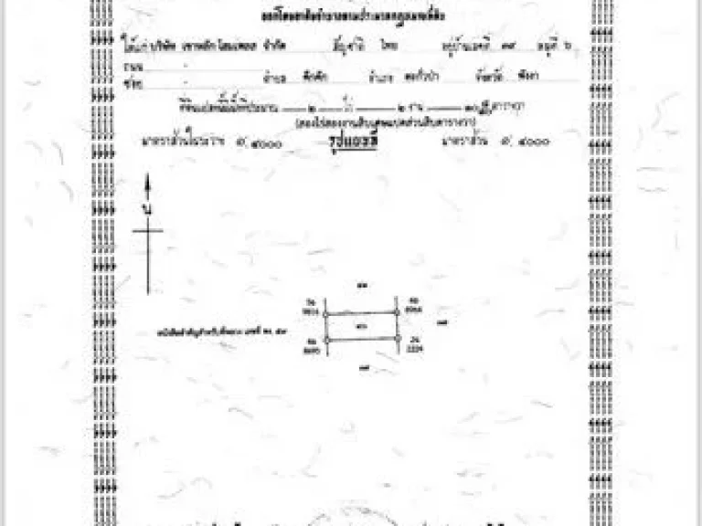 ขายที่ดินสวยใกล้หนองมูลตะกั่ว อำเภอตะกั่วป่า จังหวัดพังงา