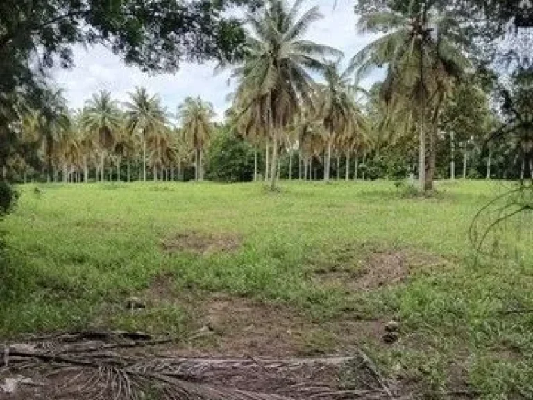 ที่ดินเขาคันทรง ศรีราชา พื้นที่สีเหลือง ใกล้ท่าเรือแหลมฉบัง