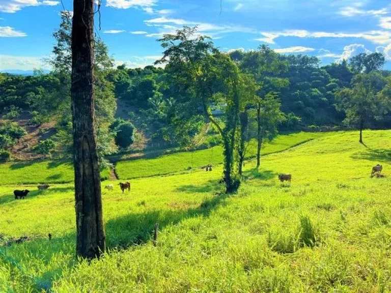 ขายที่ดินแปลงสวยบนดอยสูงสวยงาม ให้บรรยากาศท่ามกลางวิวภูเขาล้