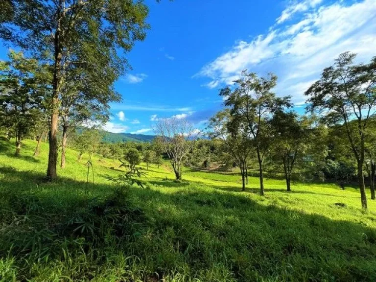 ขายที่ดินแปลงสวยบนดอยสูงสวยงาม ให้บรรยากาศท่ามกลางวิวภูเขาล้