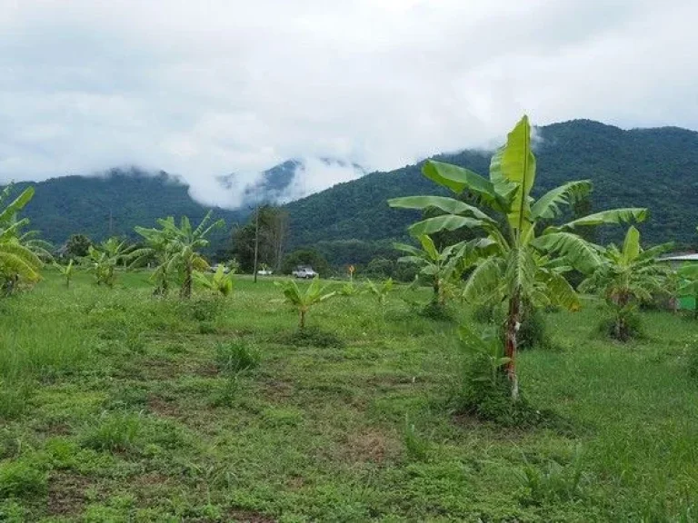 ที่ดินวิวดอยภูคา ทำเลทอง เหมาะสำหรับสร้างธุรกิจในฝัน