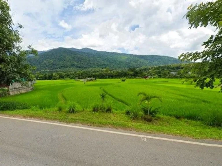 ที่ดินติดถนนใหญ่วิวดอยภูคา เหมาะสำหรับทำร้านคา คาเฟ่