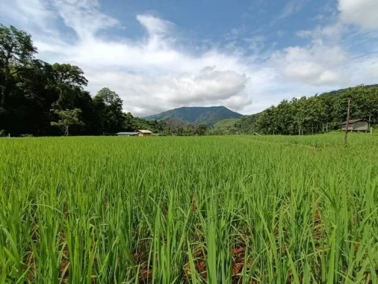 ที่ดินริมน้ำ ใกล้หมู่บ้านสะปัน รอให้คุณมาเนรมิตความฝันให้เป็