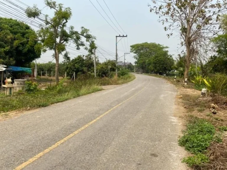 ขายที่ดินติดถนนค้าขายได้บ้านพญาชมภูสารภีโฉนดพร้อมโอน