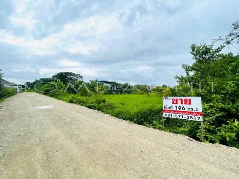 ที่ดินเปล่าแปลงมุม ซวิเศษสุข ตท่าศาลา อเมืองลพบุรี