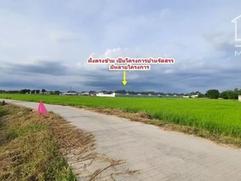 ขายที่ดินเปล่าชลบุรี หน้ากว้าง ติดถนนคอนกรีต 35 เมตร โฉนด