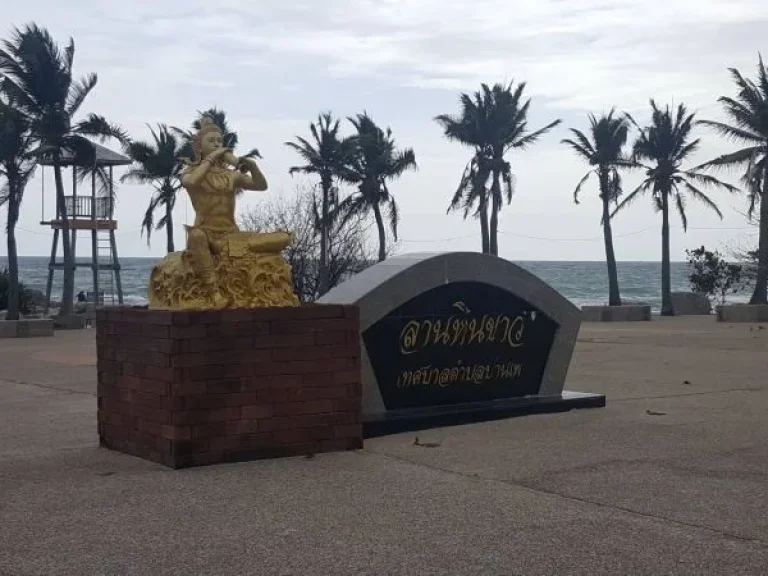 ขายที่ดิน ใกล้ลานหินขาว หาดแม่รำพึง ด้านหลังติดเขา