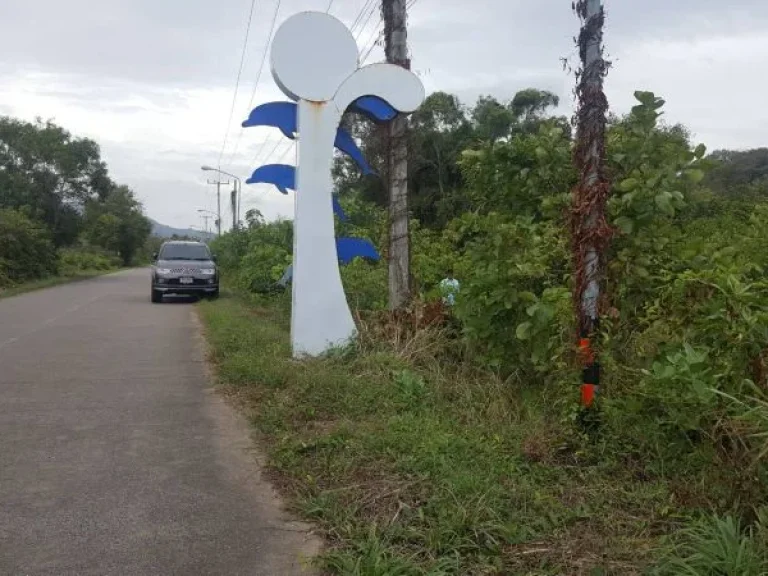 ขายที่ดิน ใกล้ลานหินขาว หาดแม่รำพึง ด้านหลังติดเขา