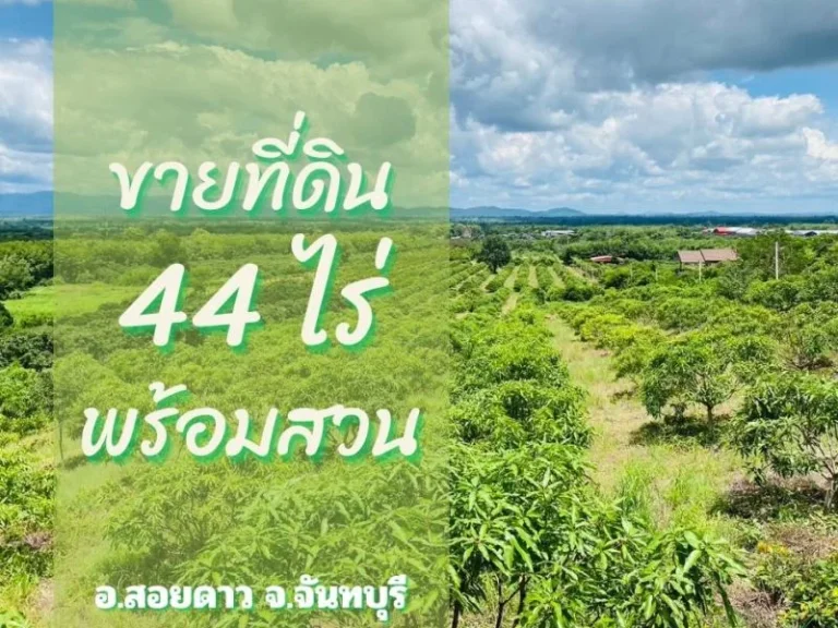 ขายที่ดินพร้อมสวนติดเชิงเขา ราคาถูก ทำเลทอง อำเภอสอยดาว