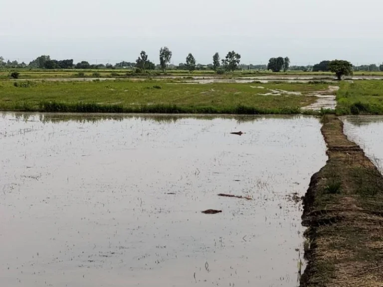 ขายที่ดินทำเลดีเจ้าของขายเอง ตำบลบางพลวง อำเภอ บ้านสร้าง