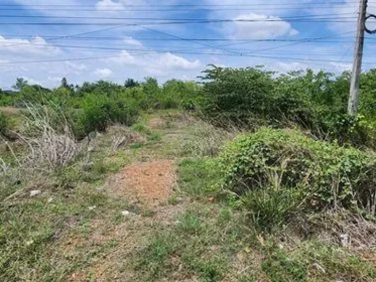 ที่ดินทำเลทอง ติดถนนใหญ่สองข้าง ที่อรัญประเทศ