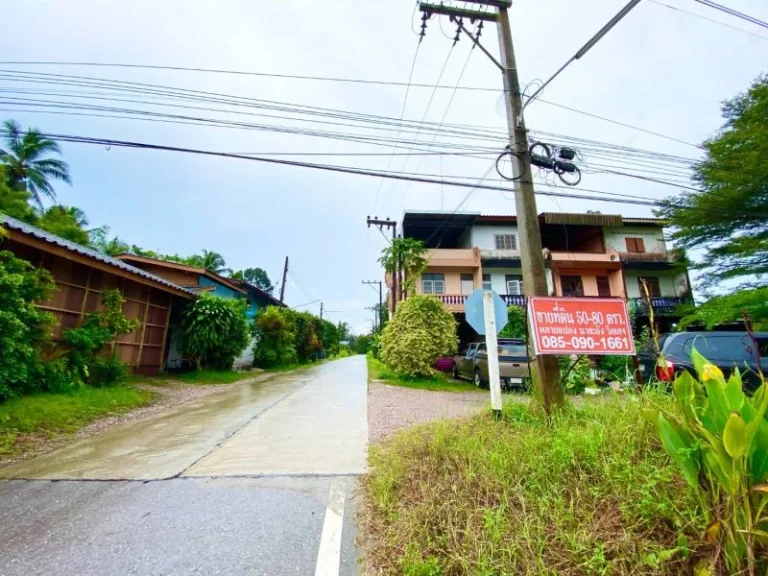 ขาย ที่ดิน ทำเลดี ติดถนน นาชะอัง วิลเลจ เมืองชุมพร